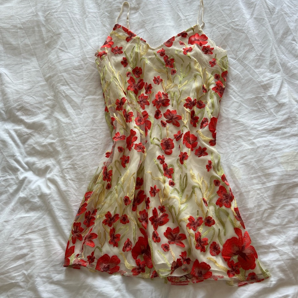 Aritzia Little Moon Embroidered Dress